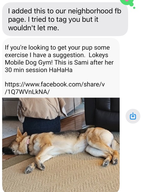 Customer message showing Sami sleeping after a 30-minute Lokey's Mobile Dog Gym session